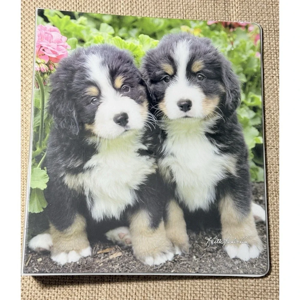 Vtg Class Act Binder Lot Puppy Keith Kimberlin 1